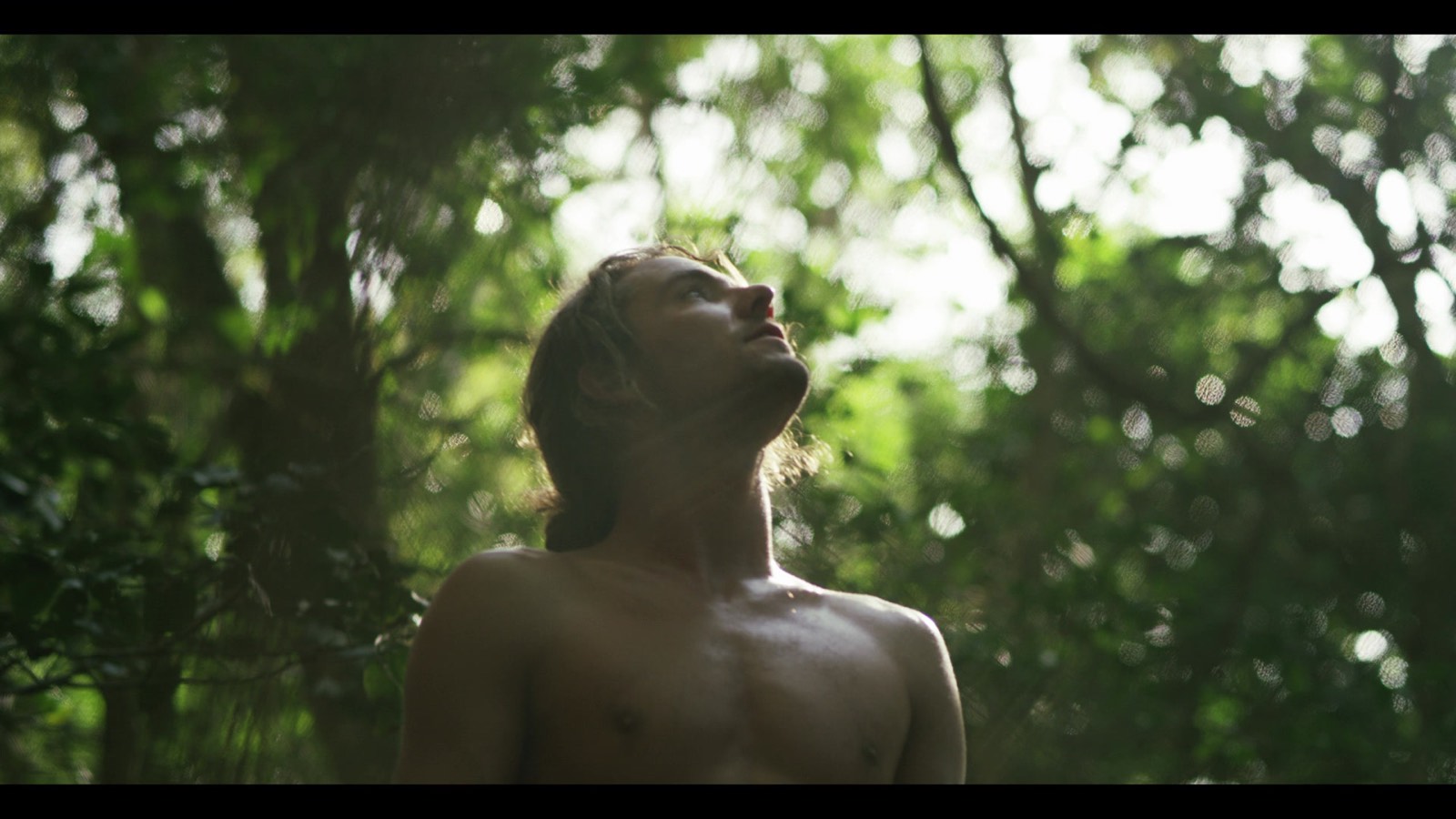 A man looking up through woodland light, a still from a festival selection